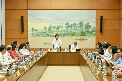 Đại biểu Quốc hội Hải Phòng đề xuất giải pháp đột phá trong sửa đổi 03 luật về đất đai, nhà ở, kinh doanh bất động sản