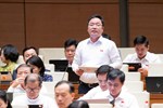 Giảm 30% thuế thu nhập cá nhân, doanh nghiệp là cần thiết
