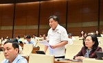 Đại biểu Hải Phòng đề xuất rõ quyền hạn điều tra viên Công an cấp xã