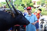 Bảo đảm an toàn Lễ hội chọi trâu truyền thống Đồ Sơn - VTV 2026