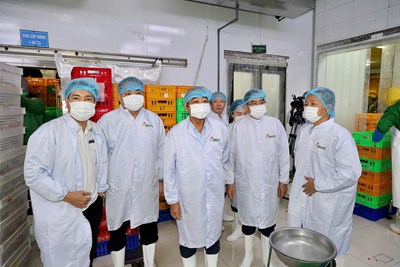 Đoàn đại biểu Quốc hội thành phố giám sát chuyên đề về an toàn thực phẩm tại Công ty Cổ phần Giống gia cầm Lượng Huệ