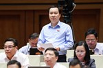 Đại biểu Quốc hội thành phố Hải Phòng chỉ ra bất cập trong một số dự thảo luật