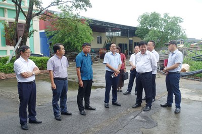 Ban Đô thị HĐND thành phố giám sát tình hình sản xuất và cung cấp nước sạch tại phường Hòa Bình và phường Lưu Kiếm