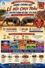 Phường Đồ Sơn chủ động chuẩn bị cho vòng chung kết Lễ hội Chọi trâu truyền thống Đồ Sơn - VTV 2026