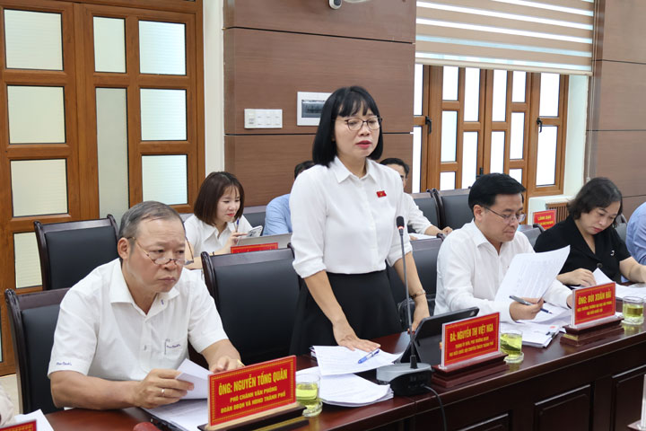 Đoàn đại biểu Quốc hội thành phố giám sát việc thực hiện chính sách, pháp luật về an toàn thực phẩm tại phường Đồ Sơn