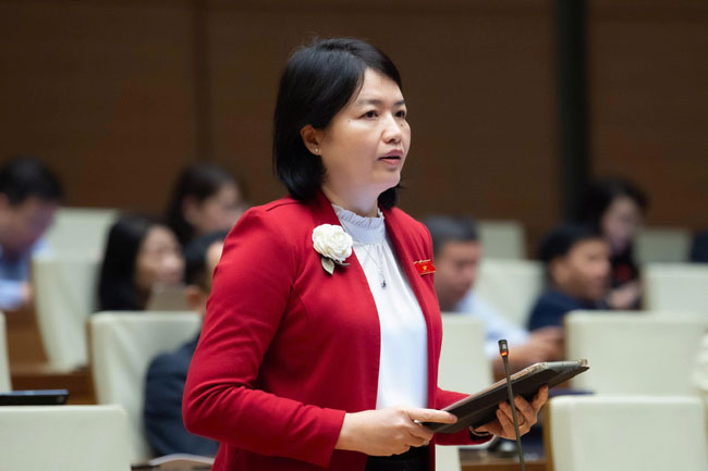 Đề xuất các dự án y tế, giáo dục được quyết định đầu tư khác quy hoạch, phù hợp yêu cầu phát triển