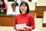 St. Mary's International School bị ĐSQ Hàn Quốc cảnh báo: Bao năm tuyển sinh, cơ quan quản lý ở đâu?