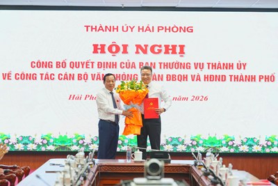 Công bố Quyết định của Ban Thường vụ Thành ủy về công tác cán bộ tại Văn phòng Đoàn ĐBQH và HĐND thành phố