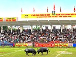 Vòng chung kết Lễ hội chọi trâu Đồ Sơn 2026 có gì mới ?